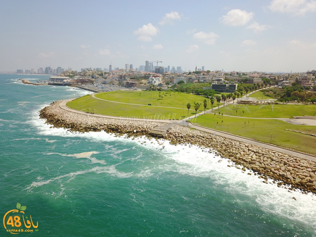 mohamed 3ayesh (3).JPG